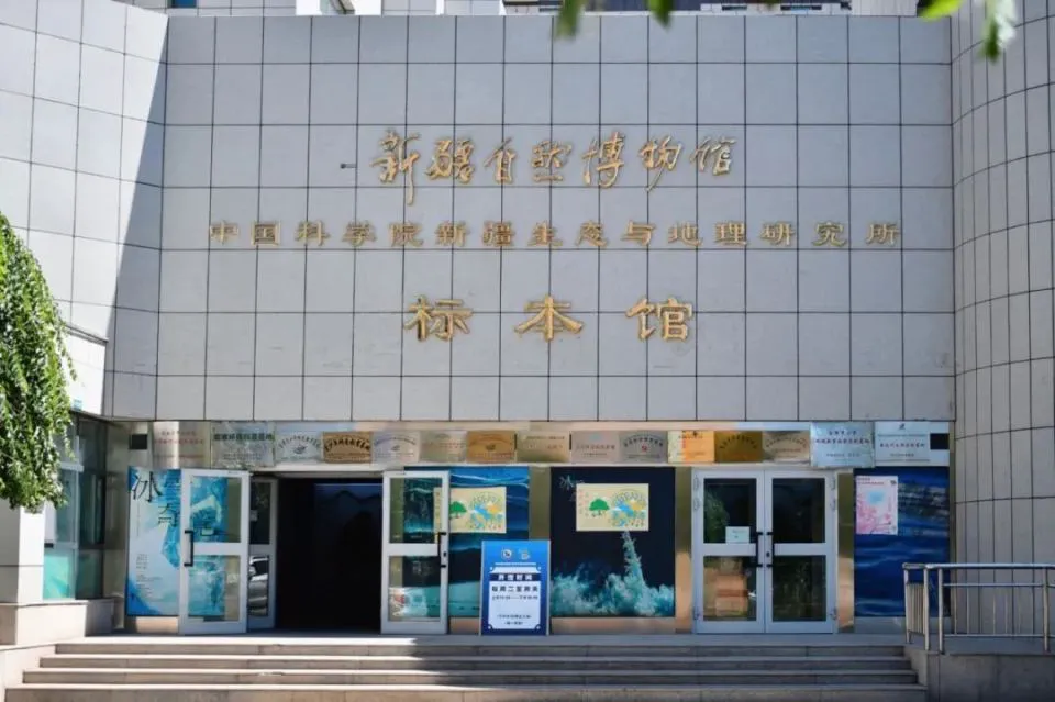 制定篮球交流计划以促进个人技能发展的方法_2